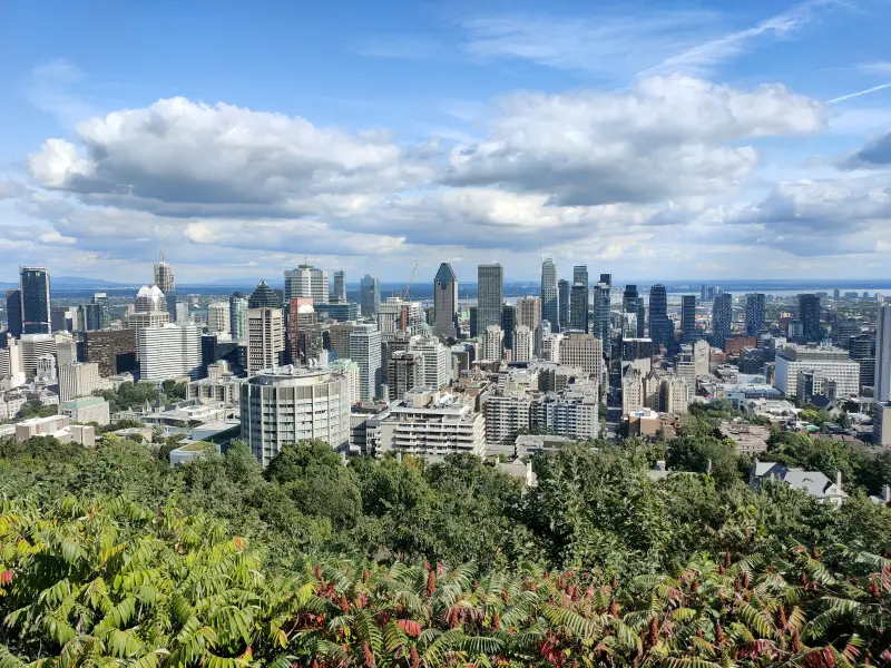 MontrealMontRoyal2.webp